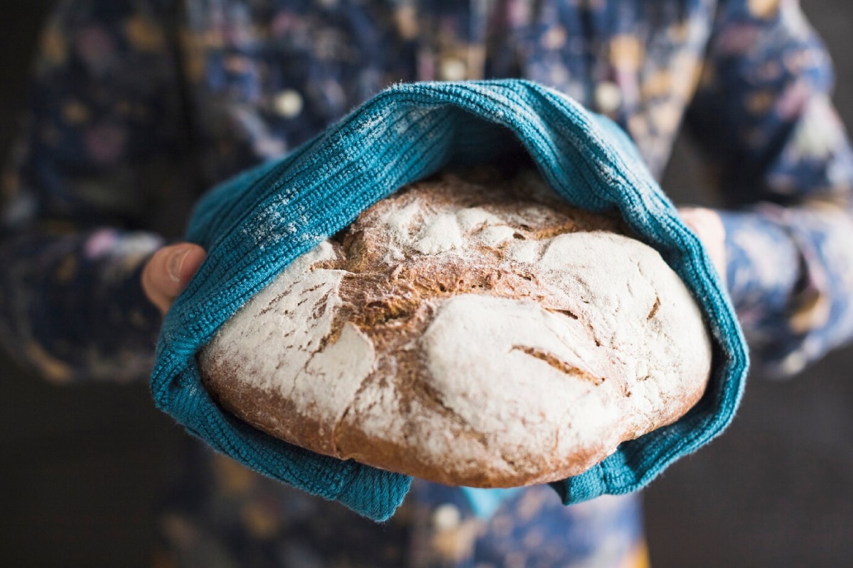 A person holds a freshly baked round loaf of bread, covered partially with a blue towel, revealing its crusty, flour-dusted surface.