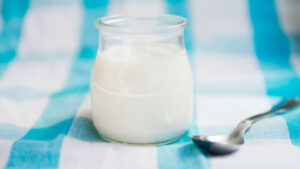Uncovering the Science of Fermented Probiotics and Their Benefits
