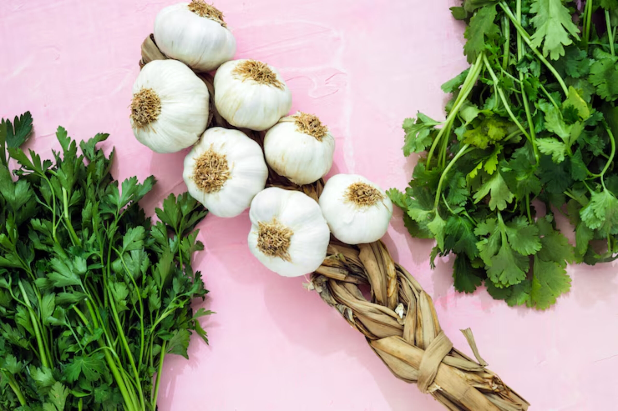 A braid of garlic bulbs is centered on a pink background, flanked by fresh parsley and cilantro sprigs.